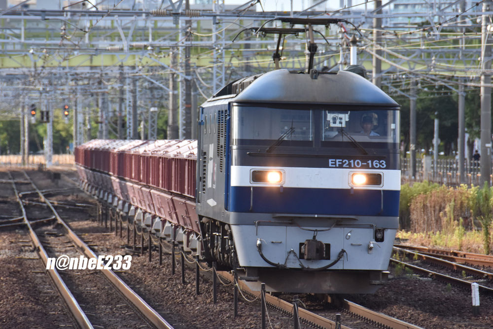 イメージ 8