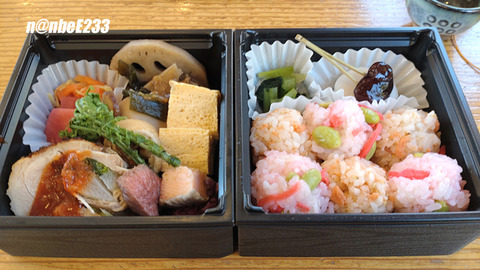 20250426-DSC_8833-EXP