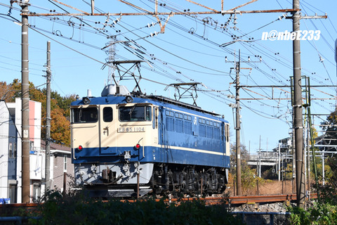 20201121-DSC_1675