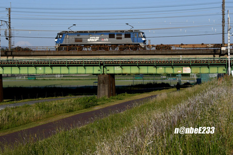 20260513-DSC_0088