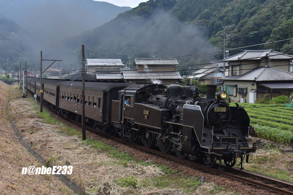 イメージ 1