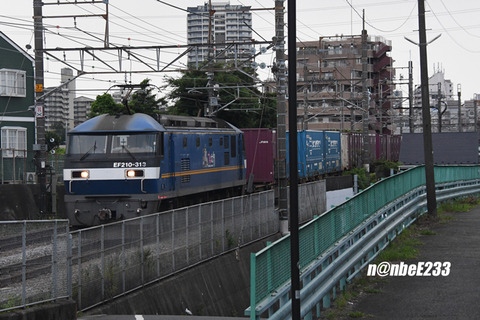 20260724-DSC_1941