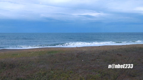 20231112-DSC_6321-EXP