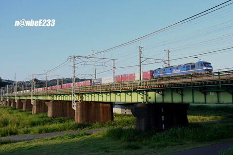 20260710-DSC_1689