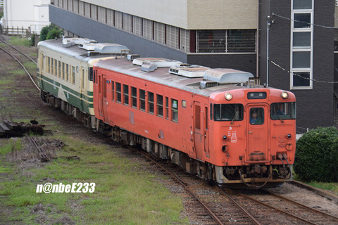 20261003-DSC_0259