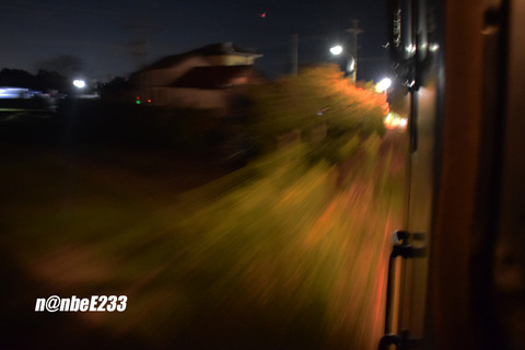 20261003-DSC_0467