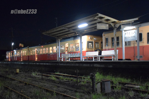 20261003-DSC_0461