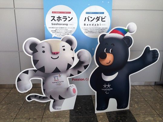 スホランとバンダビ 韓国熱上がったり下がったり スホランとバンダビ 韓国熱上がったり下がったり