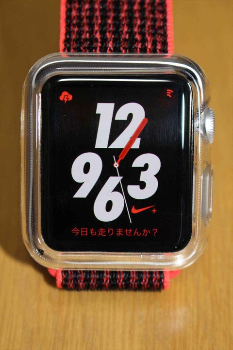 分厚くしっかりとしたケースです