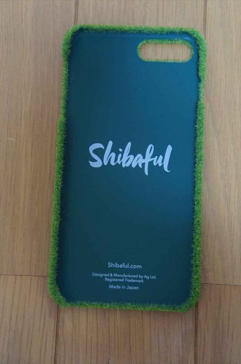 文句なしに個性的なケースです