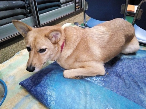 IMG_20170927_182057-1