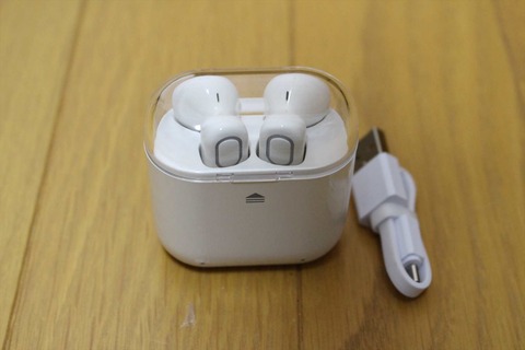 高いポテンシャルを持ったイヤホンです