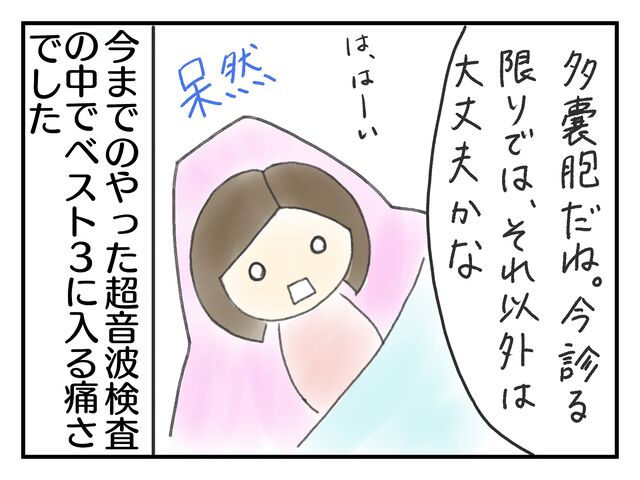 不妊治療日記 初めて不妊治療病院に行った話 内診ってしんどい なんだか幸せ