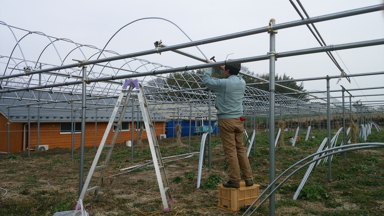 雨除け施設作り 美味しい果物 丘の上のフルーツ農園のblog