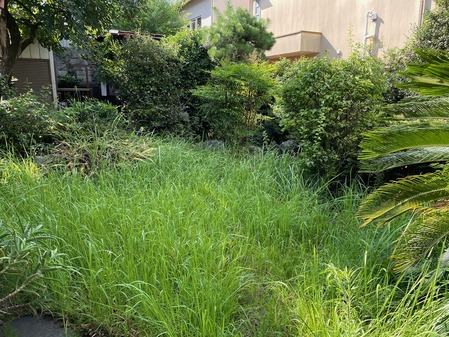 F511955C-6669-4161-AFB1-3C4E2CD14A19