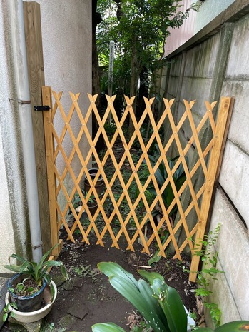 2A6C2C0D-C02C-49DB-A3C9-50D5E1188174