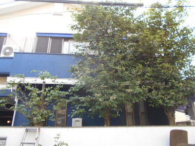 DSCN0610