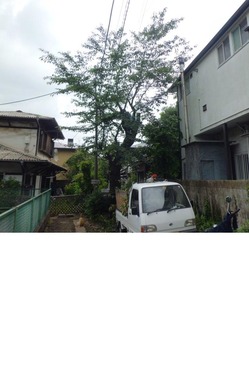 8月blog1
