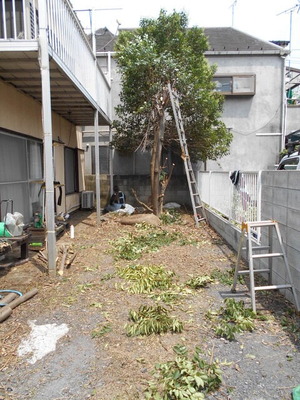DSCN0573