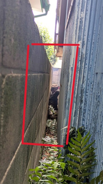 PXL_20251006_012221808