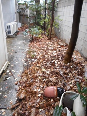 DSCN0726
