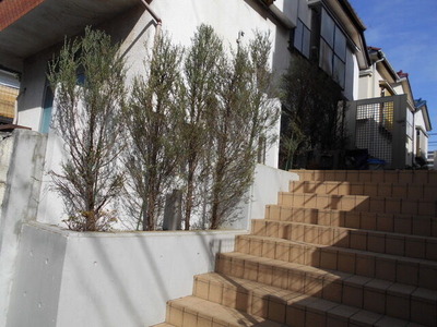 DSCN0662