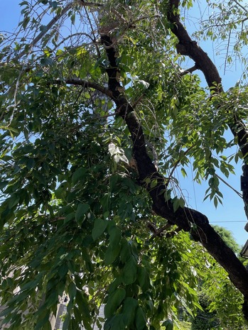 A7828852-7083-42F5-921D-15400B0B20DD