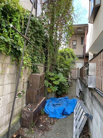 490DD832-1934-40CF-BC45-FBAD18B9E0CD