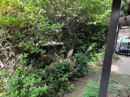 23358E6D-3DF3-4028-8FAA-5A8B9056DE59