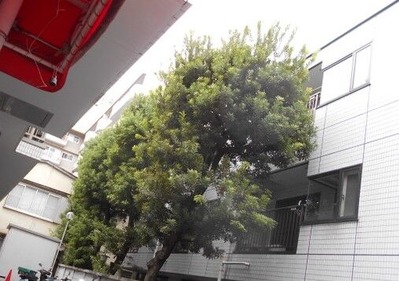 DSCN0861