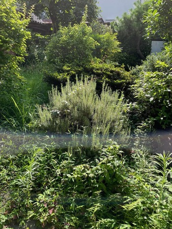 0FFD5256-1C38-4C7A-B540-1CB036598F11