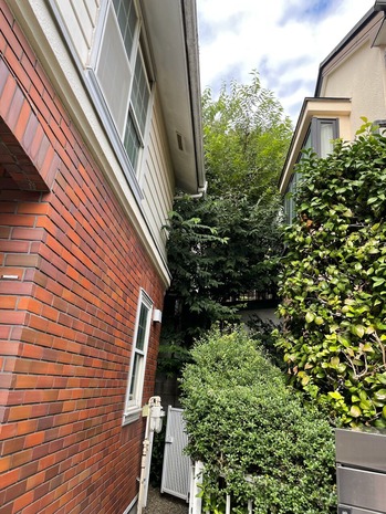 B5A7283A-2DB8-469B-9DA2-B02279371CFE