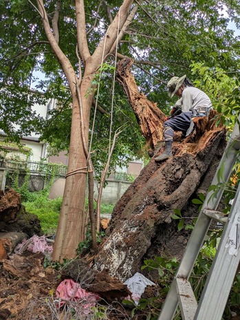 PXL_20250916_010059713