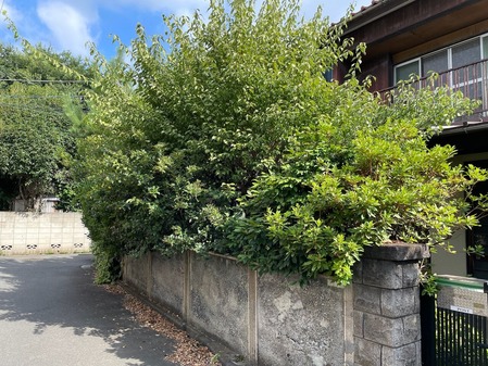 0FB79DCC-B5CF-484F-B7C7-E026466898A8