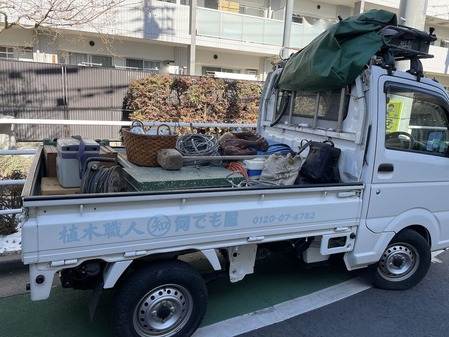 850F6879-E845-48F3-993B-0AAFD2714617_1_201_a