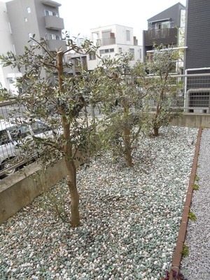 DSCN0753