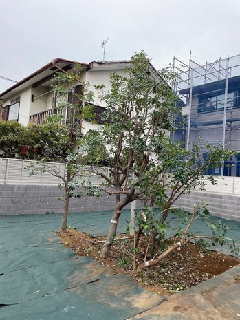 BC38C029-B37F-4BAB-B788-FEA59FCCFD41