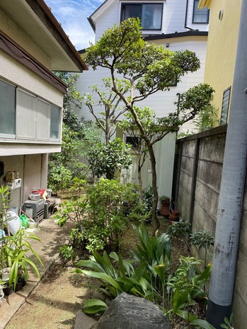 BF913731-DF5D-44B8-B774-8F4B4FC26B2F