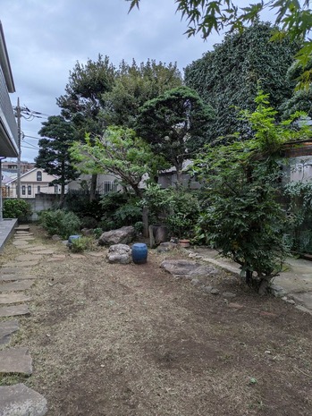 PXL_20241025_073241892