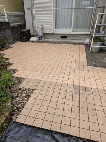 PXL_20241017_063009961