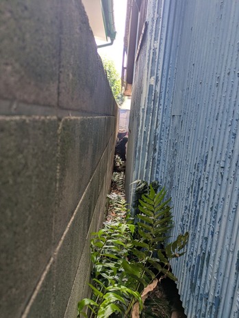 PXL_20251006_012221808 (1)