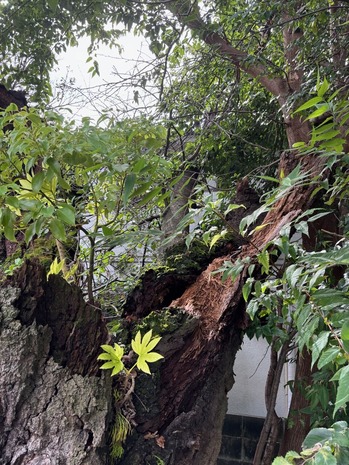 D1C32924-B1EE-45BC-B9F2-D518573D4436