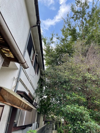 3E8886C2-3AB3-4828-95BF-1DFA875070CA