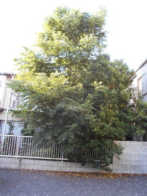 DSCN0562
