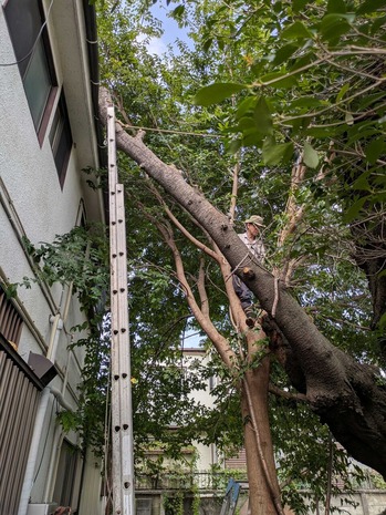 PXL_20250916_001923722