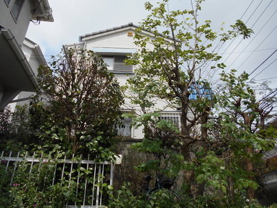 DSCN0555