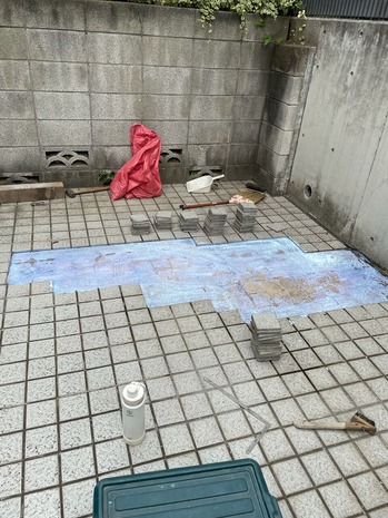 1F1746D8-3310-49CF-A345-752D95689107