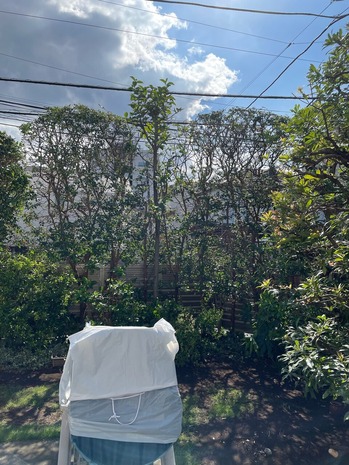 C29877FC-5C8C-4414-9129-7955661F697E