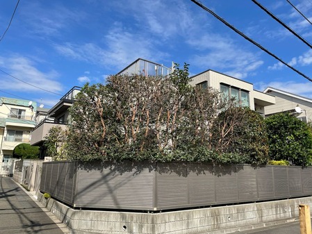 47623BE9-9B7B-4956-AEED-2148C9510975