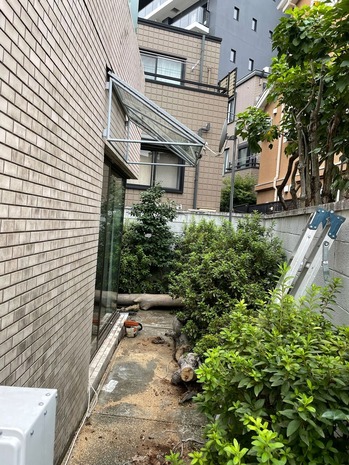 8CDEC8A8-A5D0-4F35-A935-20ED1F9236CE